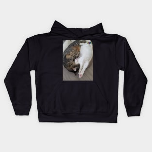 Real cat ying yang Kids Hoodie